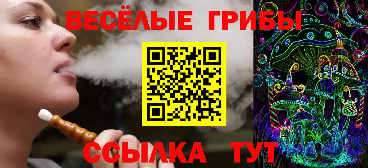 Псилоцибиновые грибы GOLDEN TEACHER  купить наркоту  Кемерово  Галлюциногенные грибы ЛСД  Вход с VPN 
